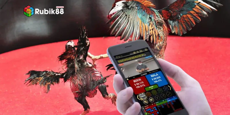 Giao diện trải nghiệm đá gà C1 trực tiếp tối ưu