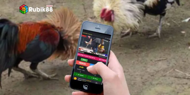 Giao diện trực tiếp rõ nét và chân thực