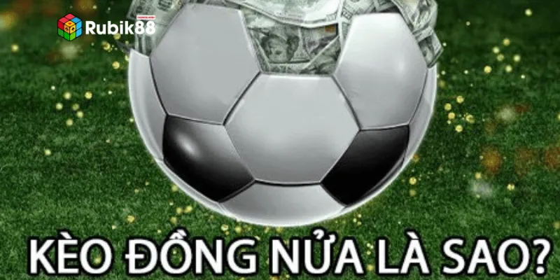 Giới thiệu sơ lược về loại kèo đồng nửa trong thể thao